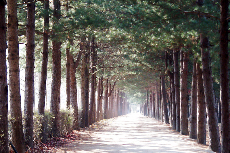 인사말 - 서로닷컴 대표 인사말