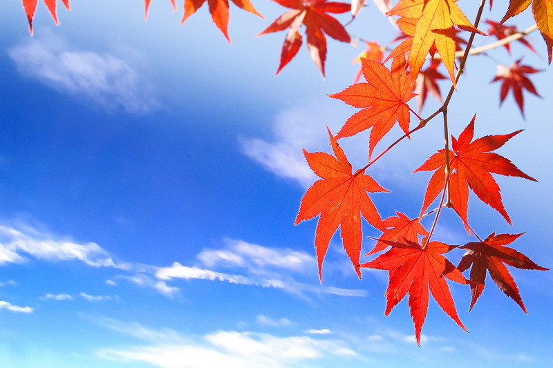 인사말 - 서로닷컴 대표 인사말