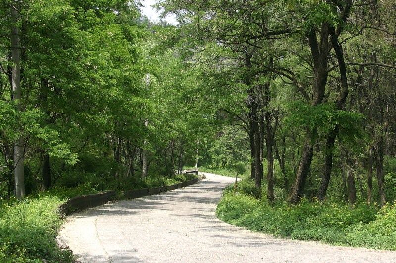 인사말 - 서로닷컴 대표 인사말