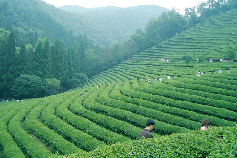 인사말 - 서로닷컴 대표 인사말
