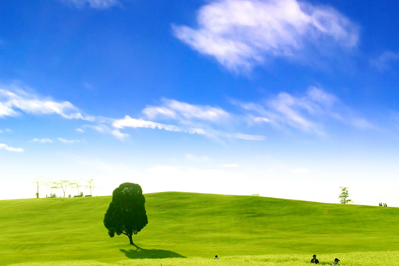 인사말 - 서로닷컴 대표 인사말