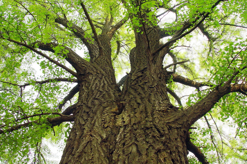 인사말 - 서로닷컴 대표 인사말