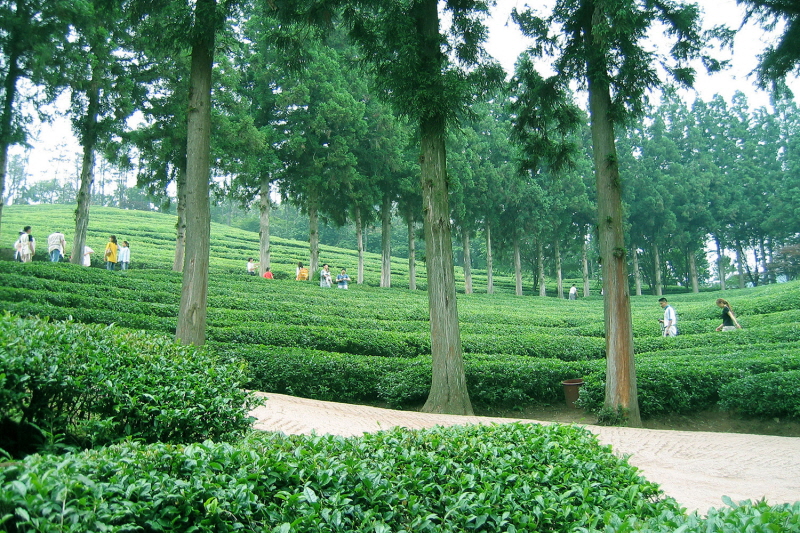 인사말 - 서로닷컴 대표 인사말