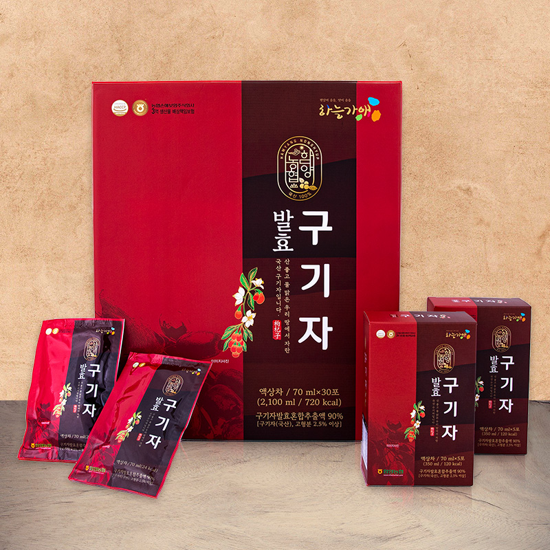 발효 구기자 촬영