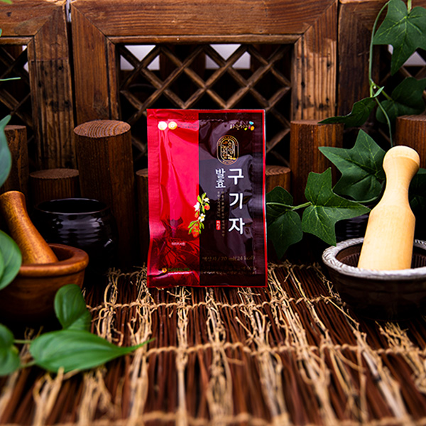 발효 구기자 내피 촬영