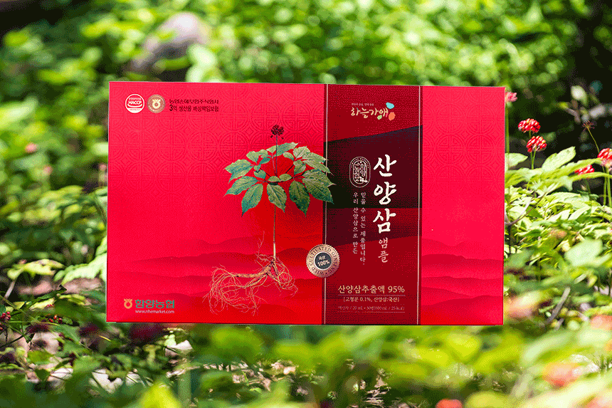 산양삼 앰플 촬영